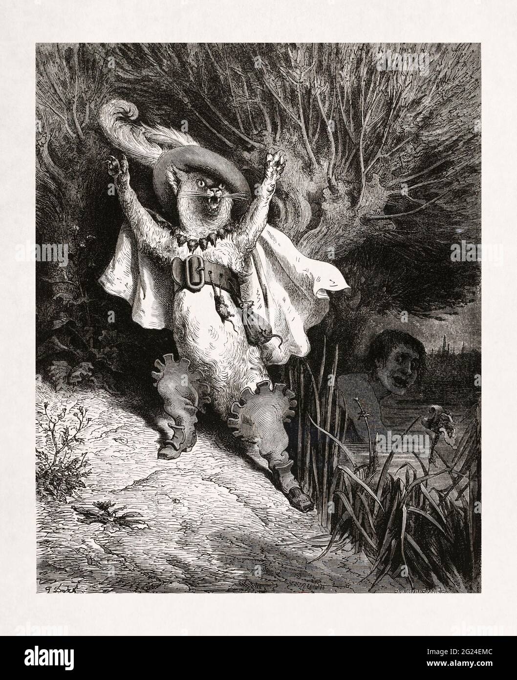 Drawing of the Puss in Boots made in 1862 by Gustave Doré to illustrate a new edition of the works of Charles Perrault originally published in 1697. Stock Photo