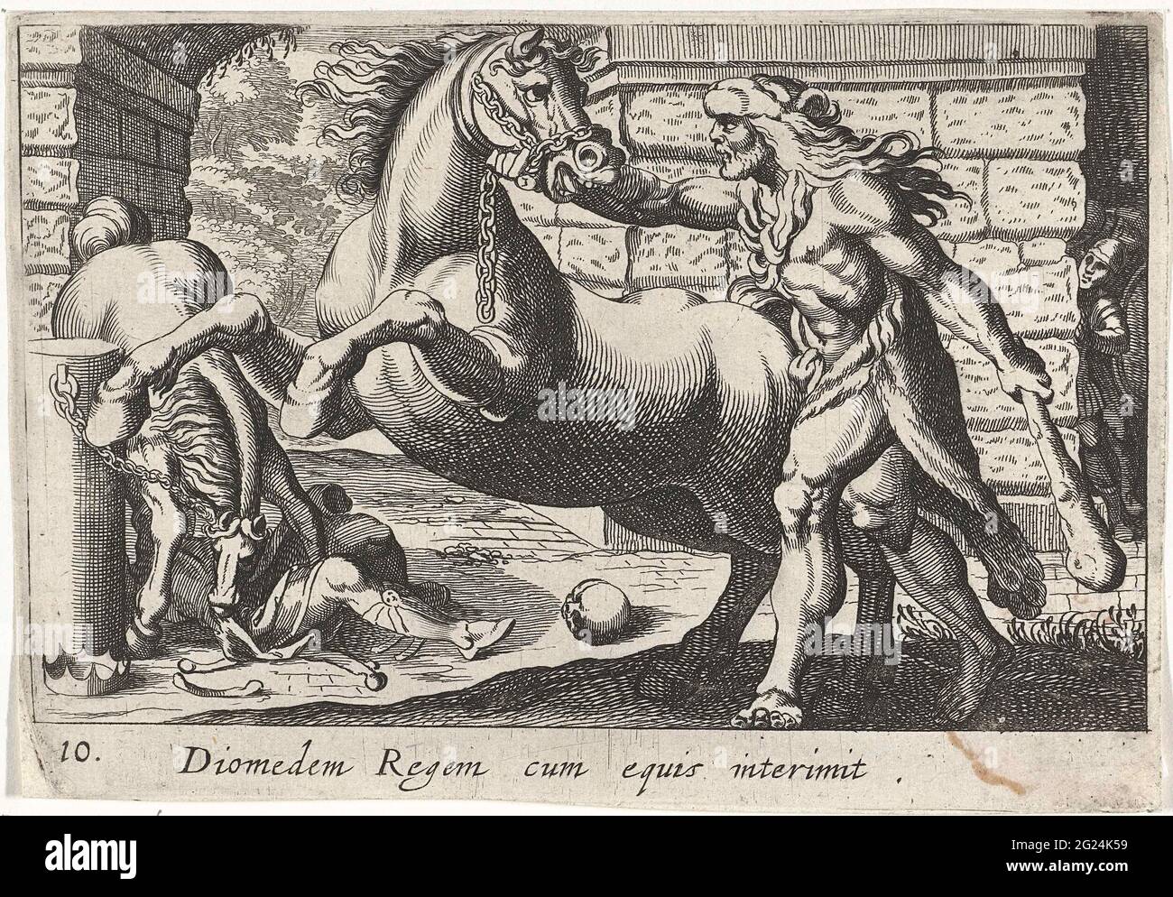 Hercules Takes Diomedes horses; DIOMEDEM Regem Cum Equis; Herculean