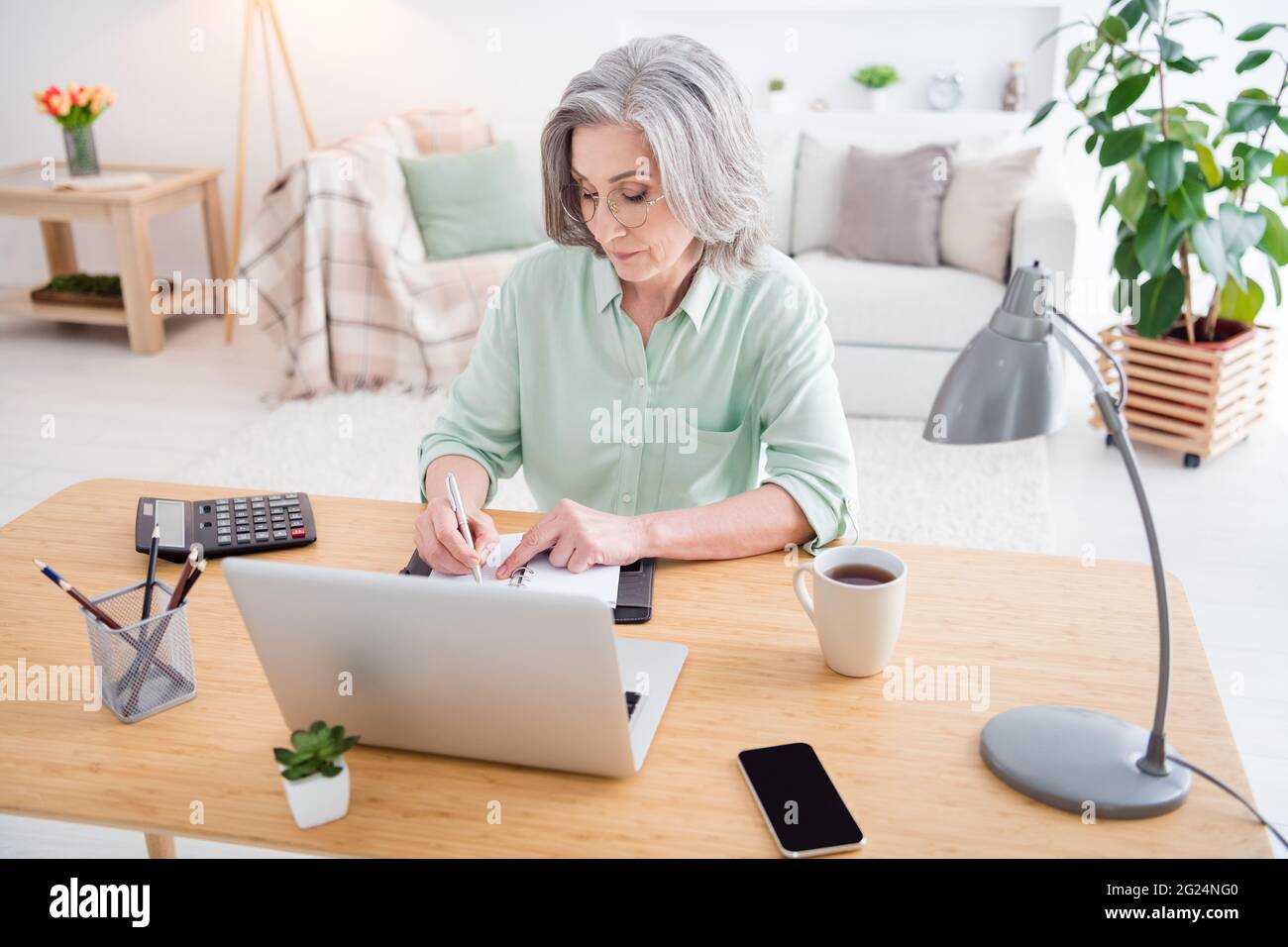 Photo of calm focused aged woman sit behind desk look concentrated ...