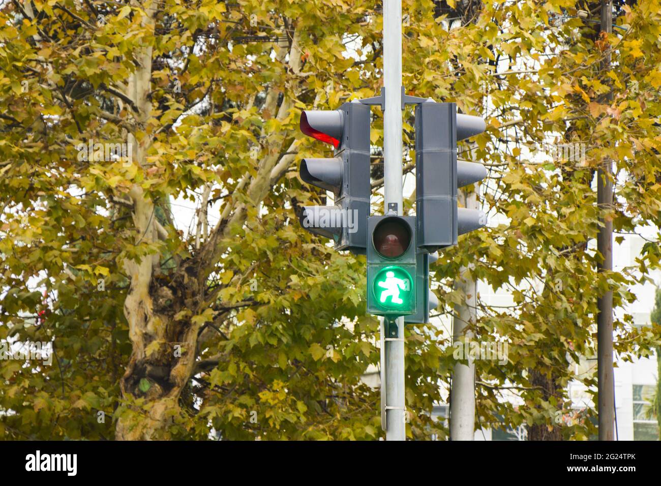 Closeup shot of a pedestrian traffic light with a green light Stock ...