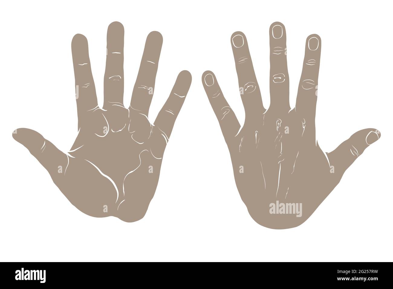 Front and back of hand, silhouette with inner details. Flat vector drawing isolated on white background, EPS 8. Stock Vector