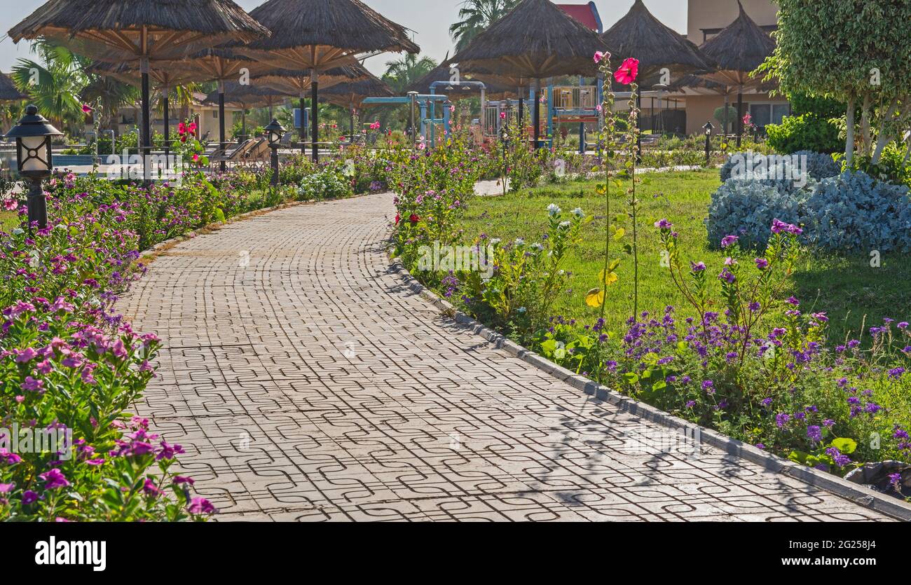 Tropical park environment hi-res stock photography and images - Alamy
