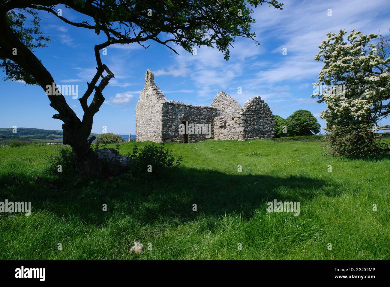 Lligwy Chapel Ruin, Anglesey, North Wales, Stock Photo
