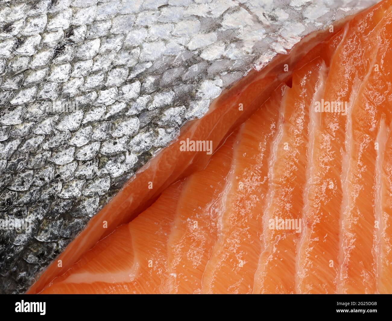 detail close up of sliced salmon, background of silver skin and