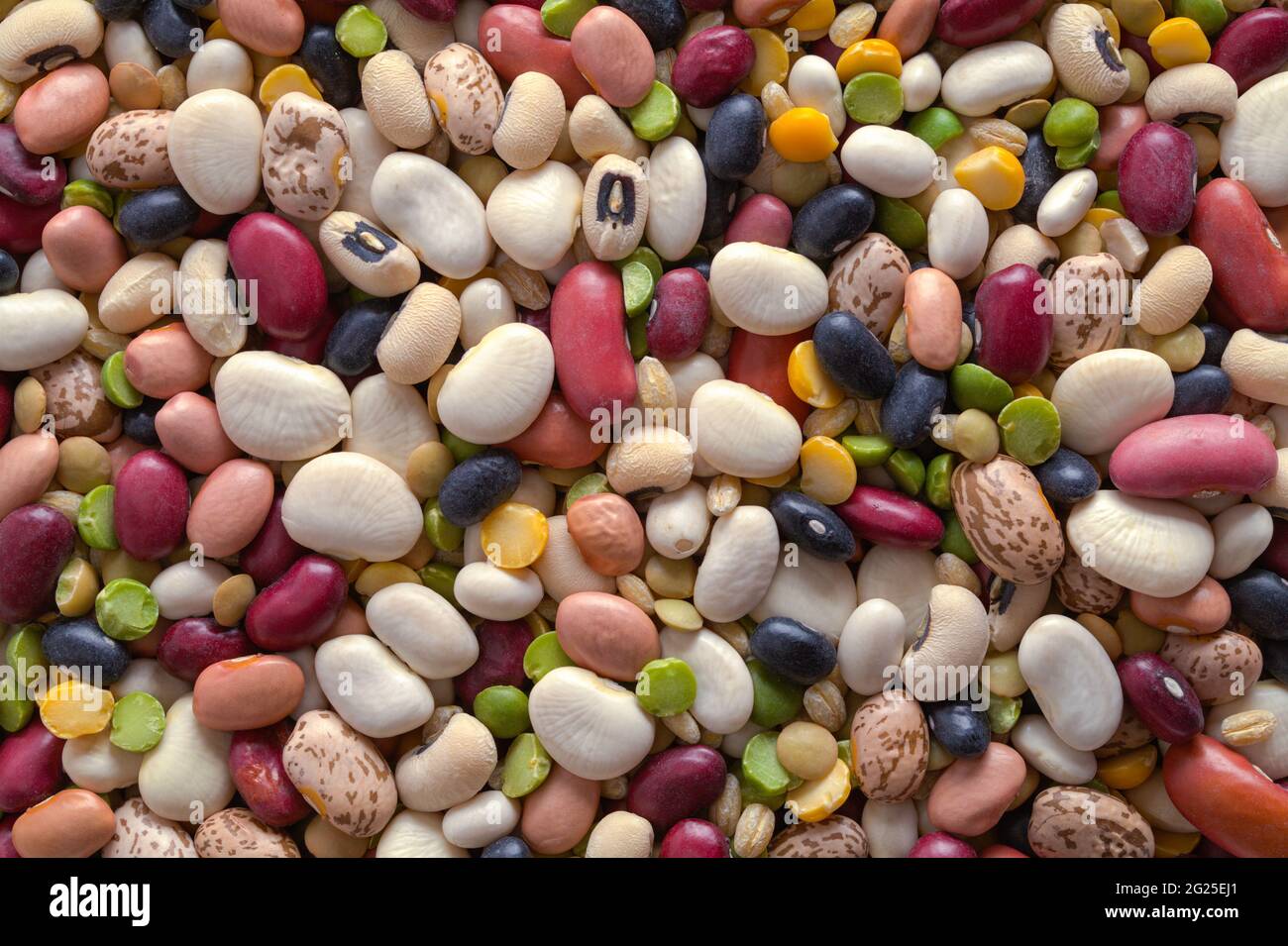 Large Pile of Dry Beans Background Texture. Stock Photo