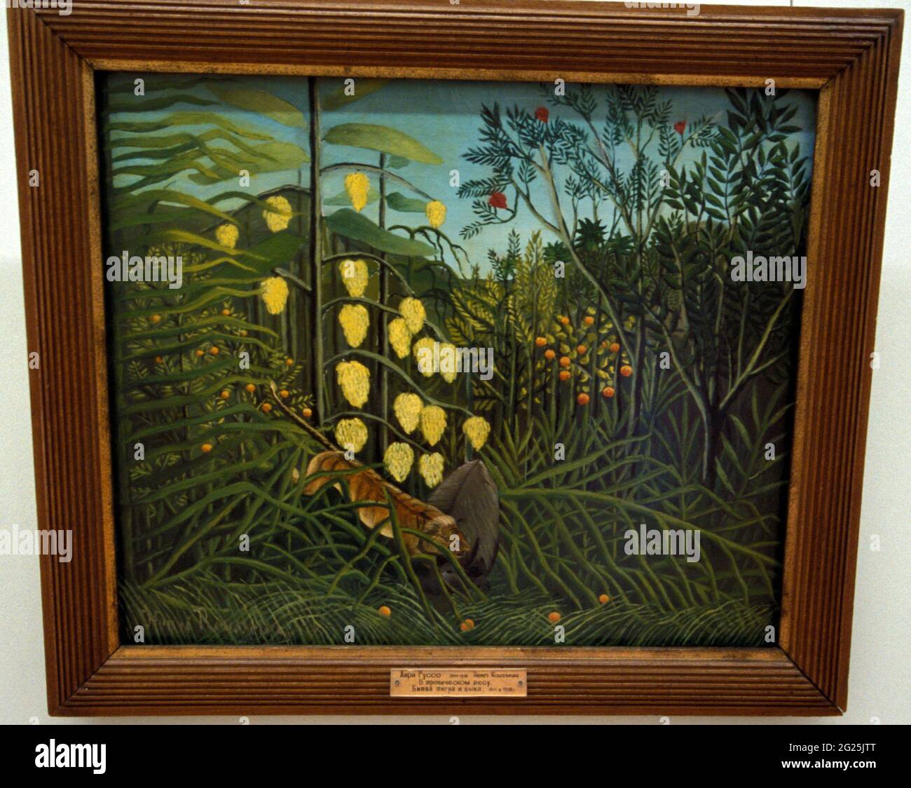 Henri Rousseau, In a Tropical Forest. Struggle between Tiger and Bull, The State Hermitage Museum, Saint Petersburg, Russia. Stock Photo