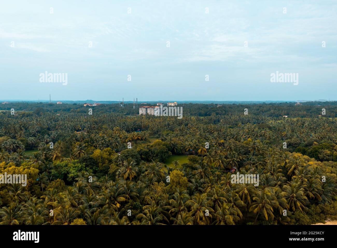 Aerial shot beach ocean forest hi-res stock photography and images - Alamy