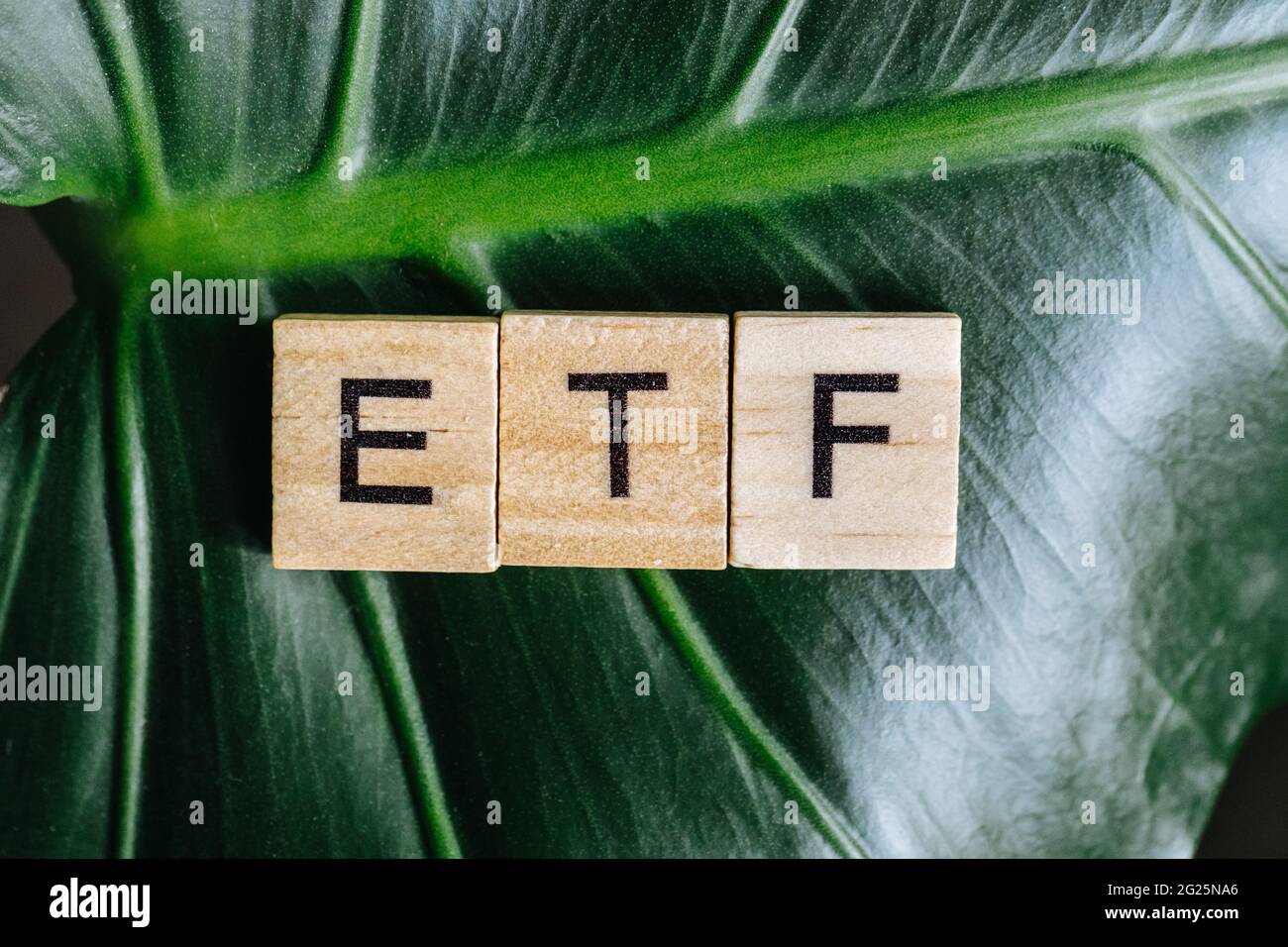 ETF Exchange-traded fund, wooden letters on a green leaf Stock Photo