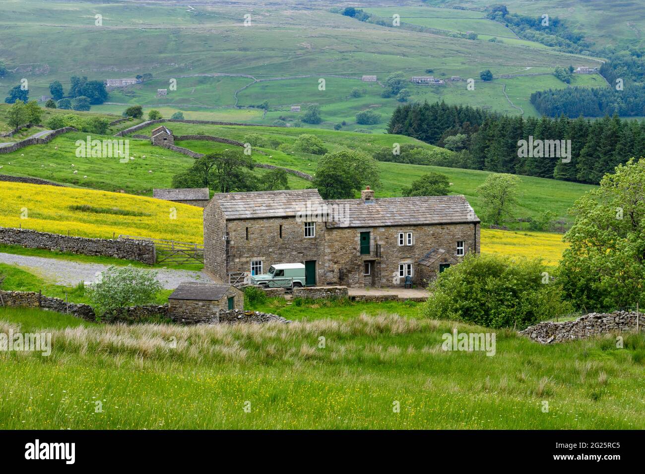 Scenic Swaledale countryside (valley, hillsides, remote farmhouse, stone barns, dry-stone walls, green farmland pasture) - Yorkshire Dales, England UK Stock Photo