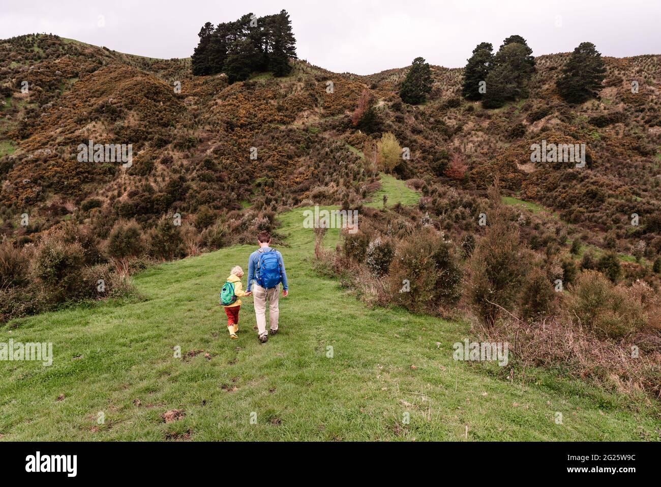 Back view of father and son walking on trail in New Zealand Stock Photo