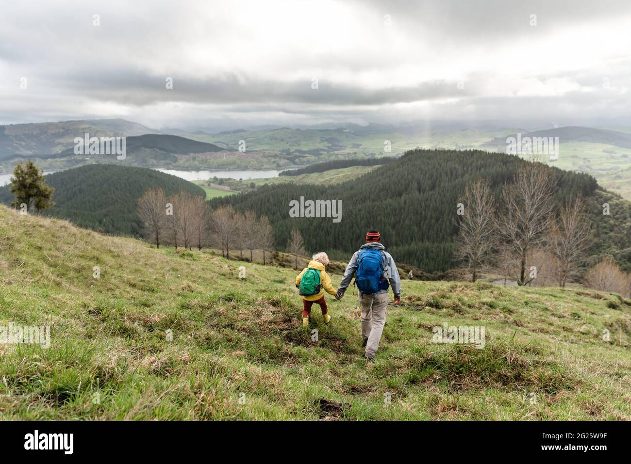 Father and small child holding hands on walk in New Zealand countryside Stock Photo