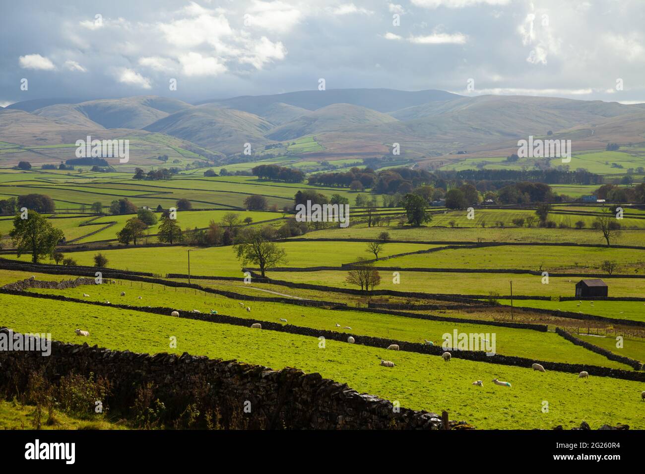 English countryside patchwork fields hi-res stock photography and ...