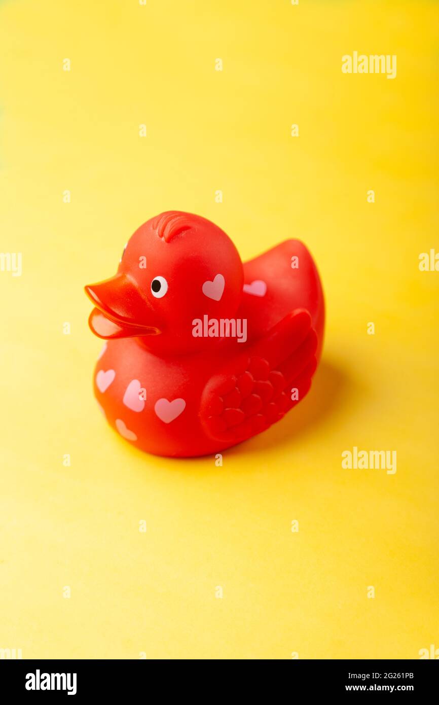 individual red rubber duck with love hearts Stock Photo