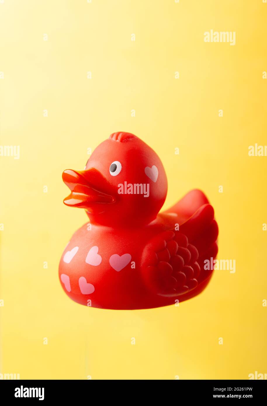 individual red rubber duck with love hearts Stock Photo
