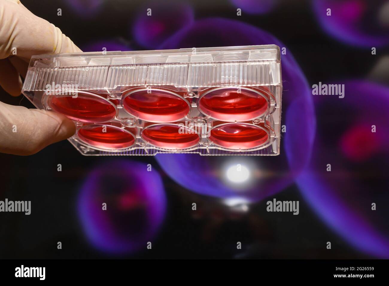 The study of a biological sample in the laboratory. Laboratory testing