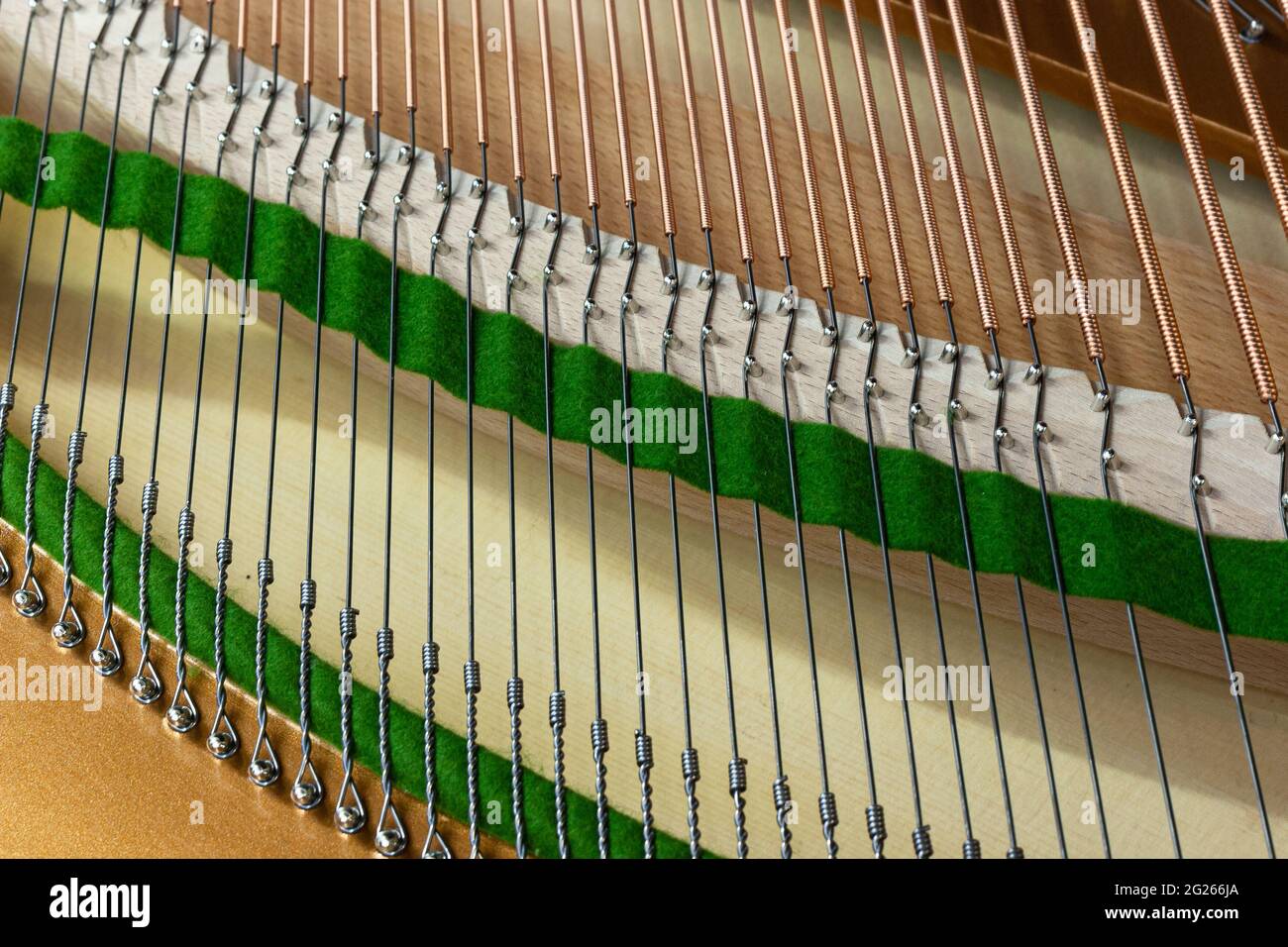 Strings and tuning pegs with felt from a grand piano Stock Photo
