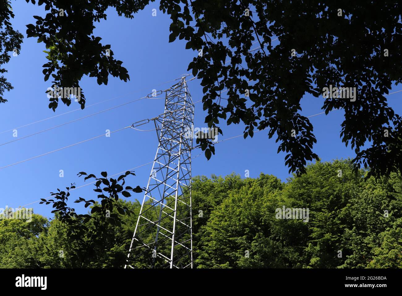 Electrical tower, blue sky and green leaves in spring Stock Photo