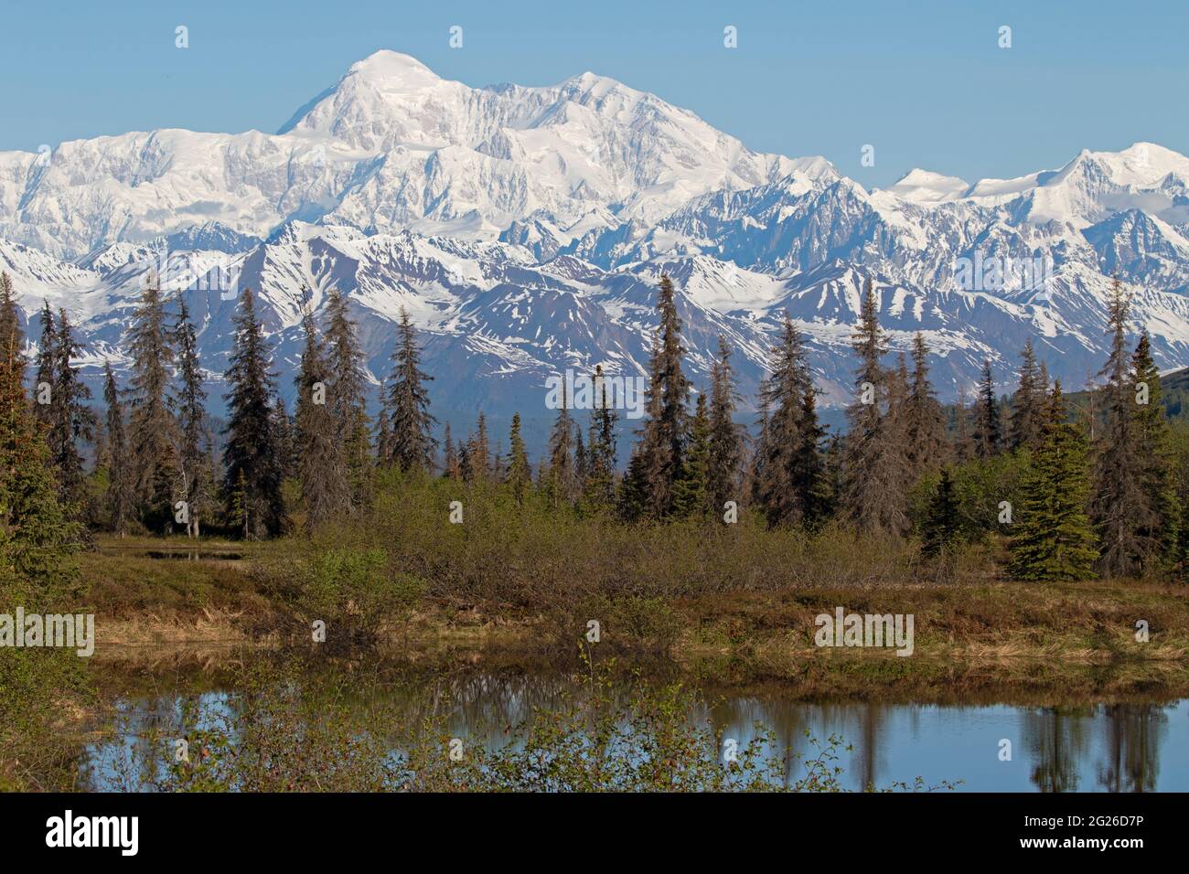 Denali, formerly Mount McKinley, rises 20,310 feet over the upper Susitna Valley. The mountain is seen here on a clear day in early June. Stock Photo