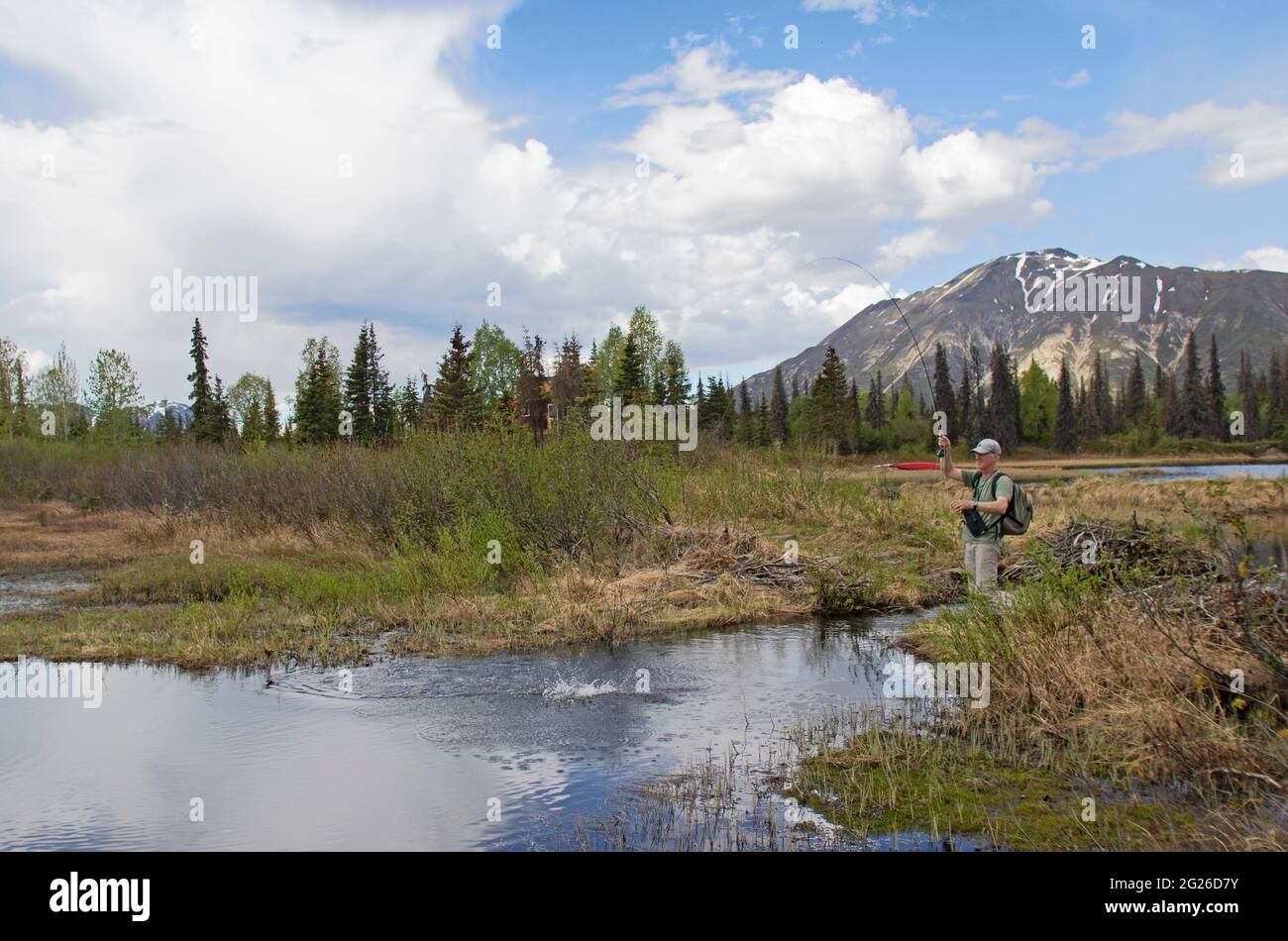 An anglers plays a wild rainbow trout in a remote wilderness setting in the Alaska Range. Stock Photo