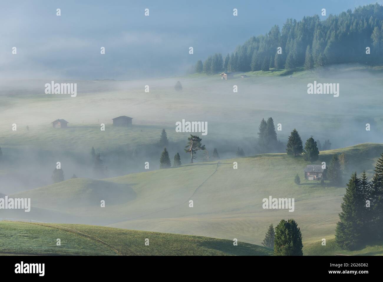 Misty day on a hill with trees and cabins around in Zermatt, Switzerland Stock Photo