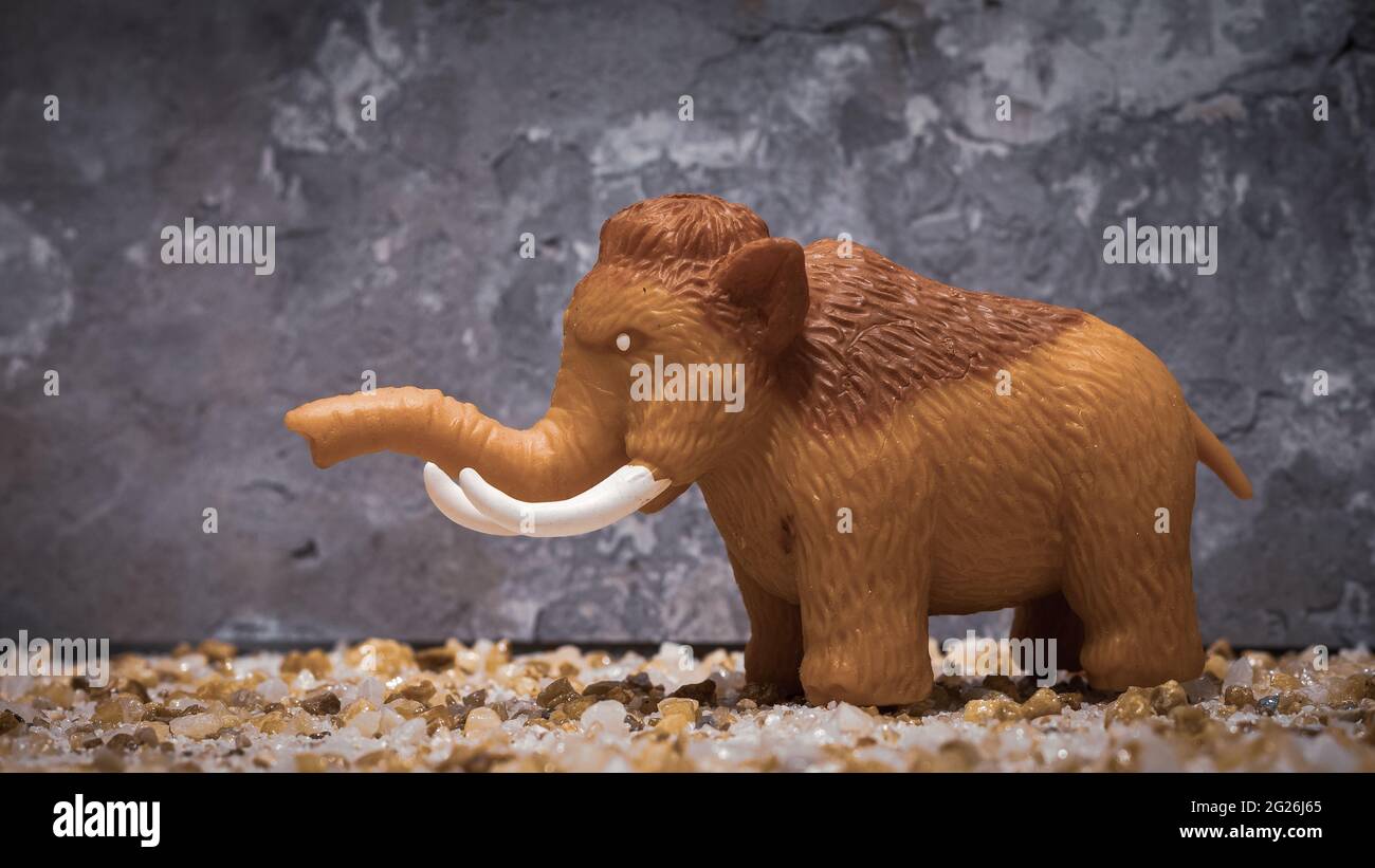 toy mammoth on rocky background Stock Photo
