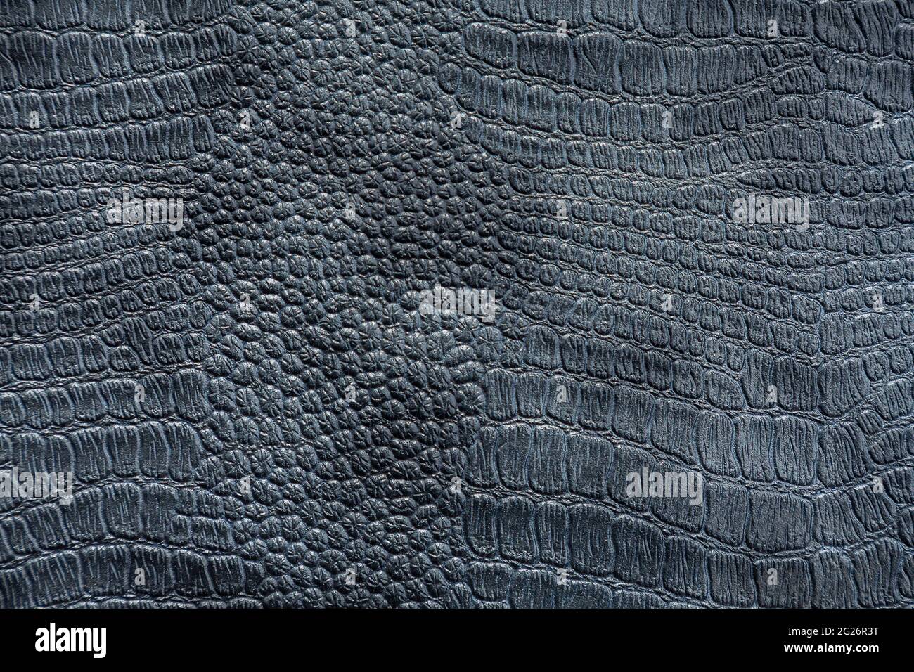 black leather crocodile texture as background, Stock image