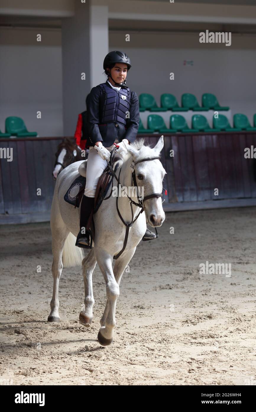 Equestrian Sports, Horse Jumping, Horse Riding Stock Photo