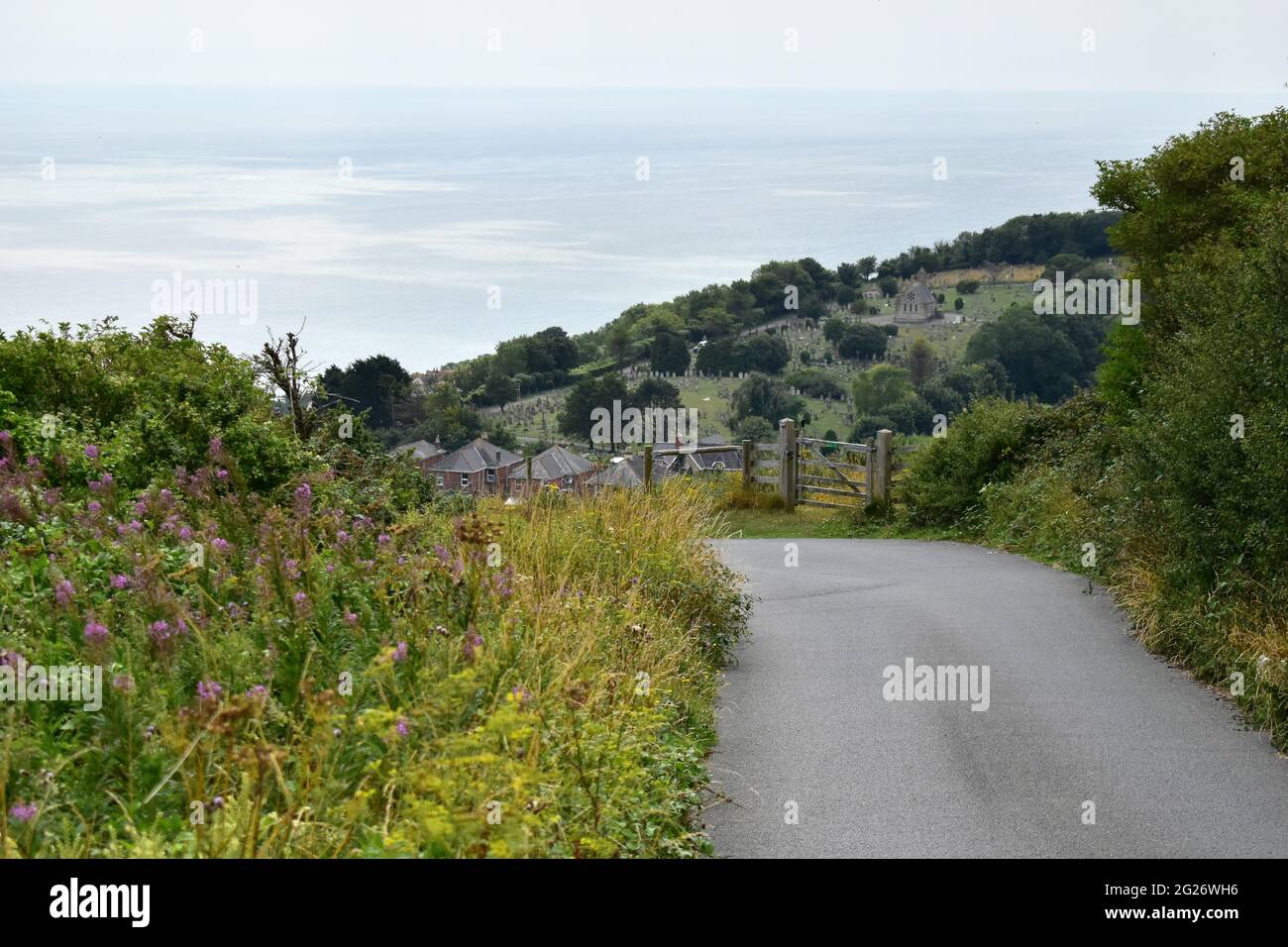 Ventnor Bay from St Boniface Down, Isle of Wight, UK Stock Photo Alamy