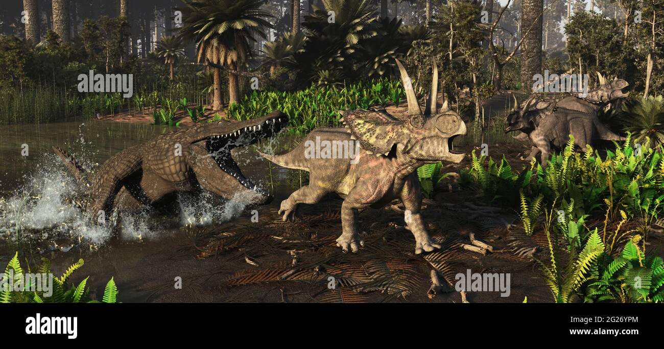 A Deinosuchus alligator attacks a Agujaceratops dinosaur during the Aguja Formation. Stock Photo