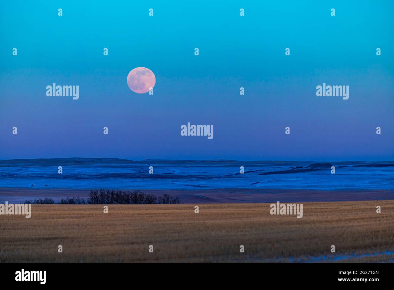 The rising full moon over the Alberta prairie in Canada. Stock Photo