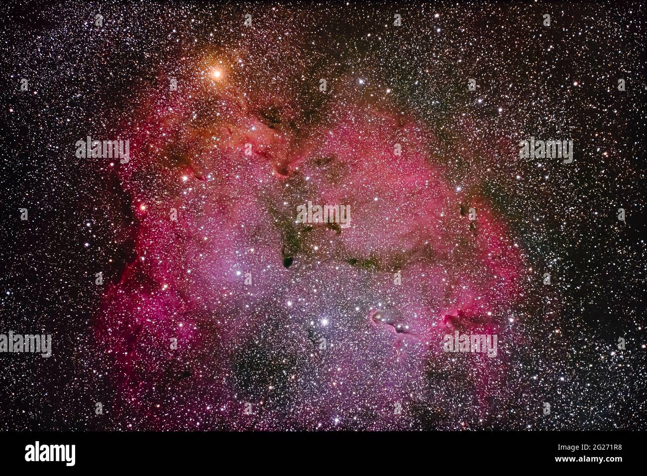 Emission nebula IC 1396 in Cepheus with the orange Garnet Star at top and Elephant Trunk Nebula at bottom. Stock Photo
