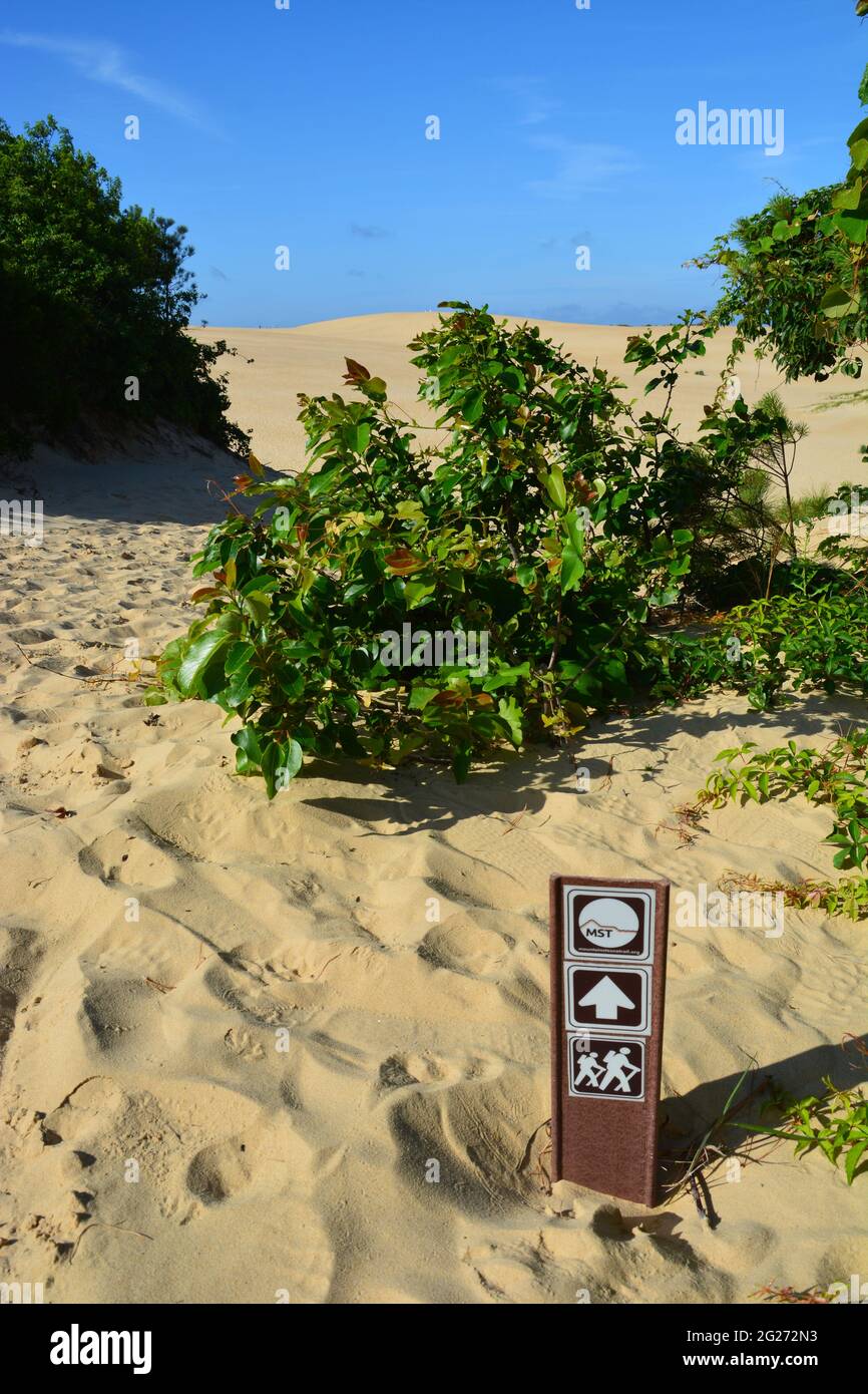 The end of North Carolina's Mountains to the Sea Hiking Trail at Jockey's Ridge State Park on the Outer Banks. Stock Photo