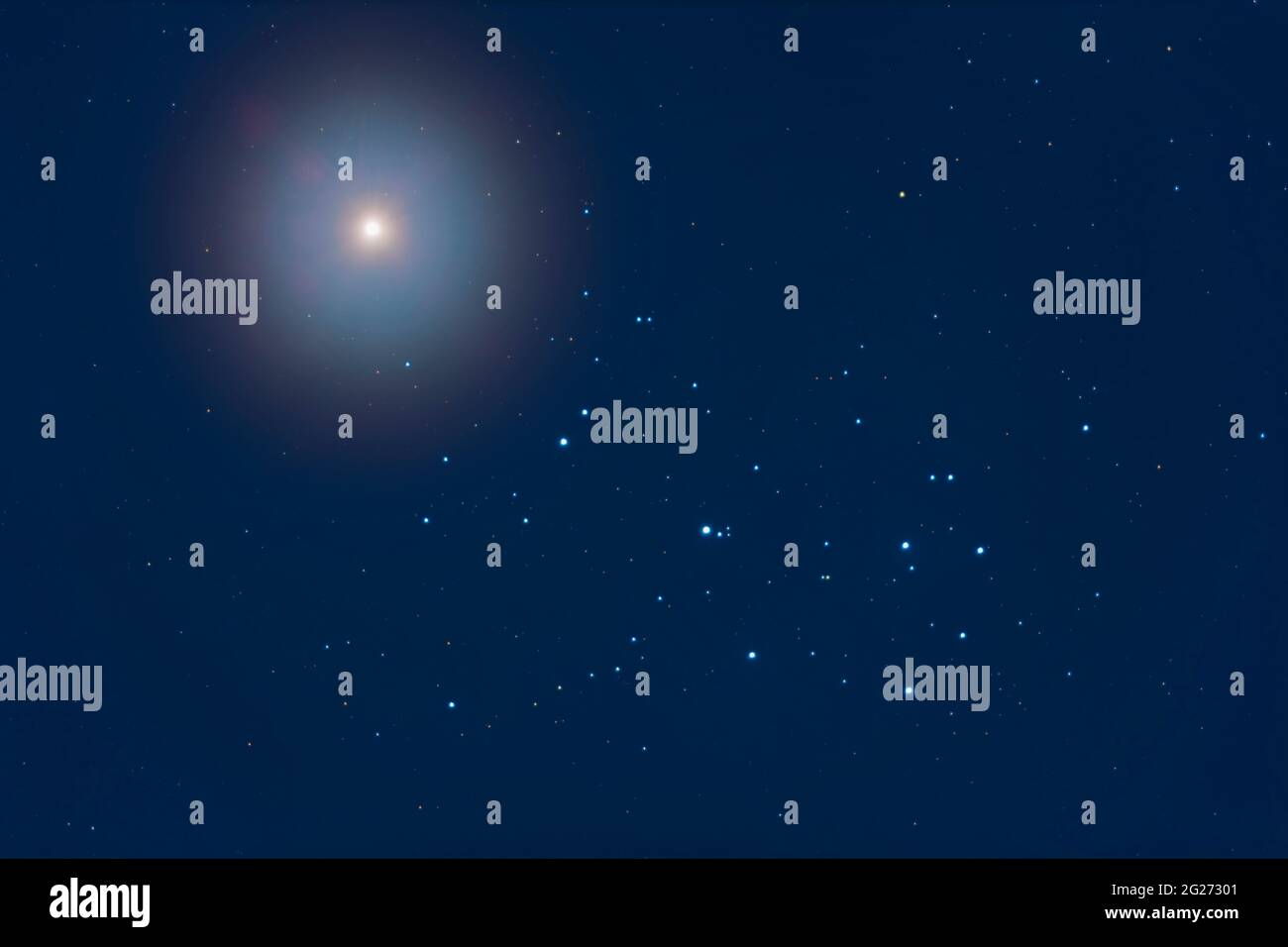 Venus above the Pleiades star cluster, M45, in the twilight and moonlight. Stock Photo