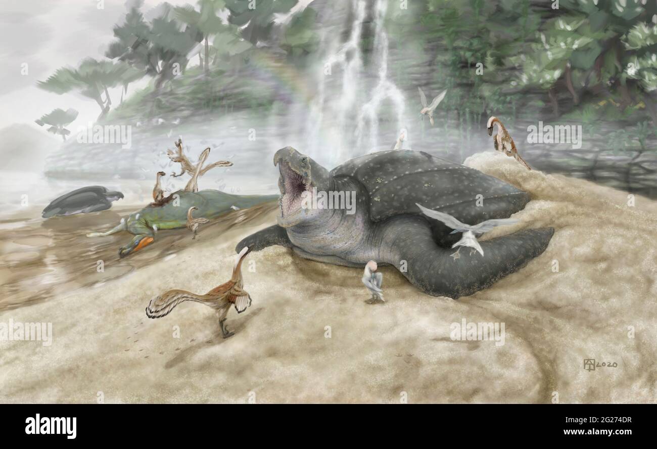 Archelon ischyros turtle pictured with Saurornitholestes, Ichthyornis and Claosaurus affinis. Stock Photo
