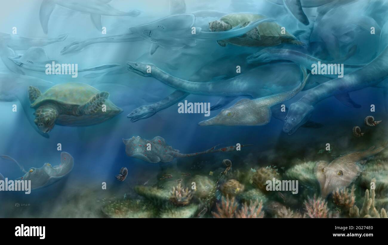 Early Cretaceous marine environment in the Boreal Sea (Westphalen, Germany). Stock Photo