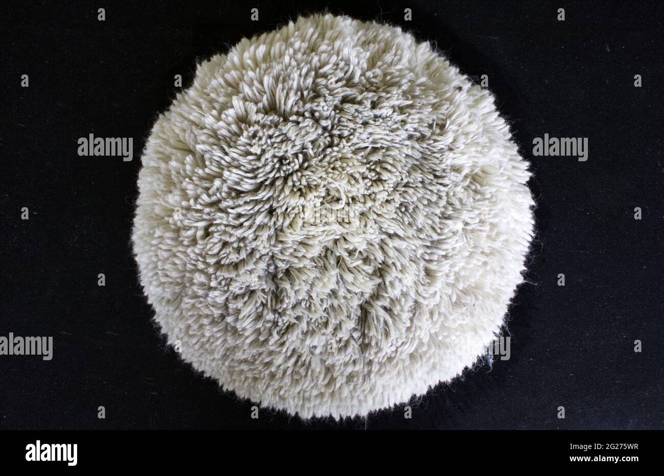 A Wool Buffing Pad on a Black Background Stock Photo