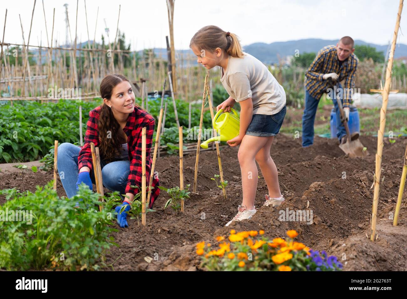 Daughter helps mom to water plants from a watering can in ...