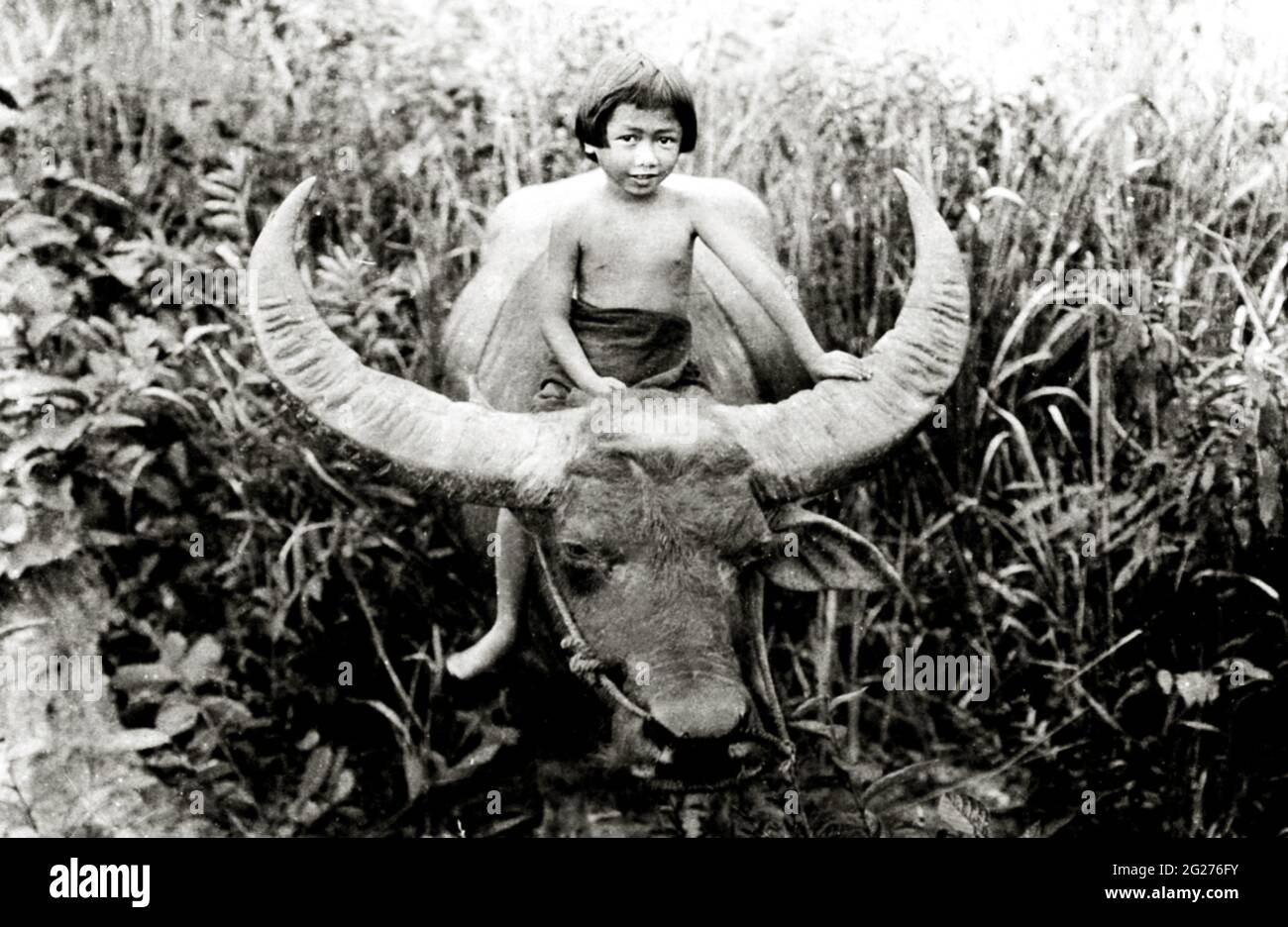 Nah , 'Chang: A Drama of the Wilderness' (1927) / File Reference # 34145-152THA Stock Photo