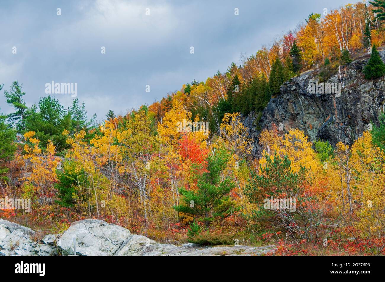 Scenic view of rocks, a rock cliff and autumn foliage in lower New York, USA Stock Photo