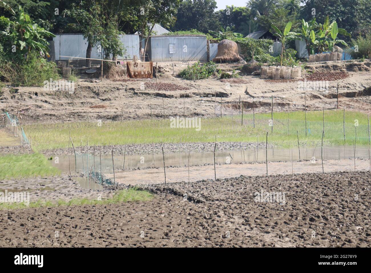 beautiful village view with nature and field Stock Photo - Alamy
