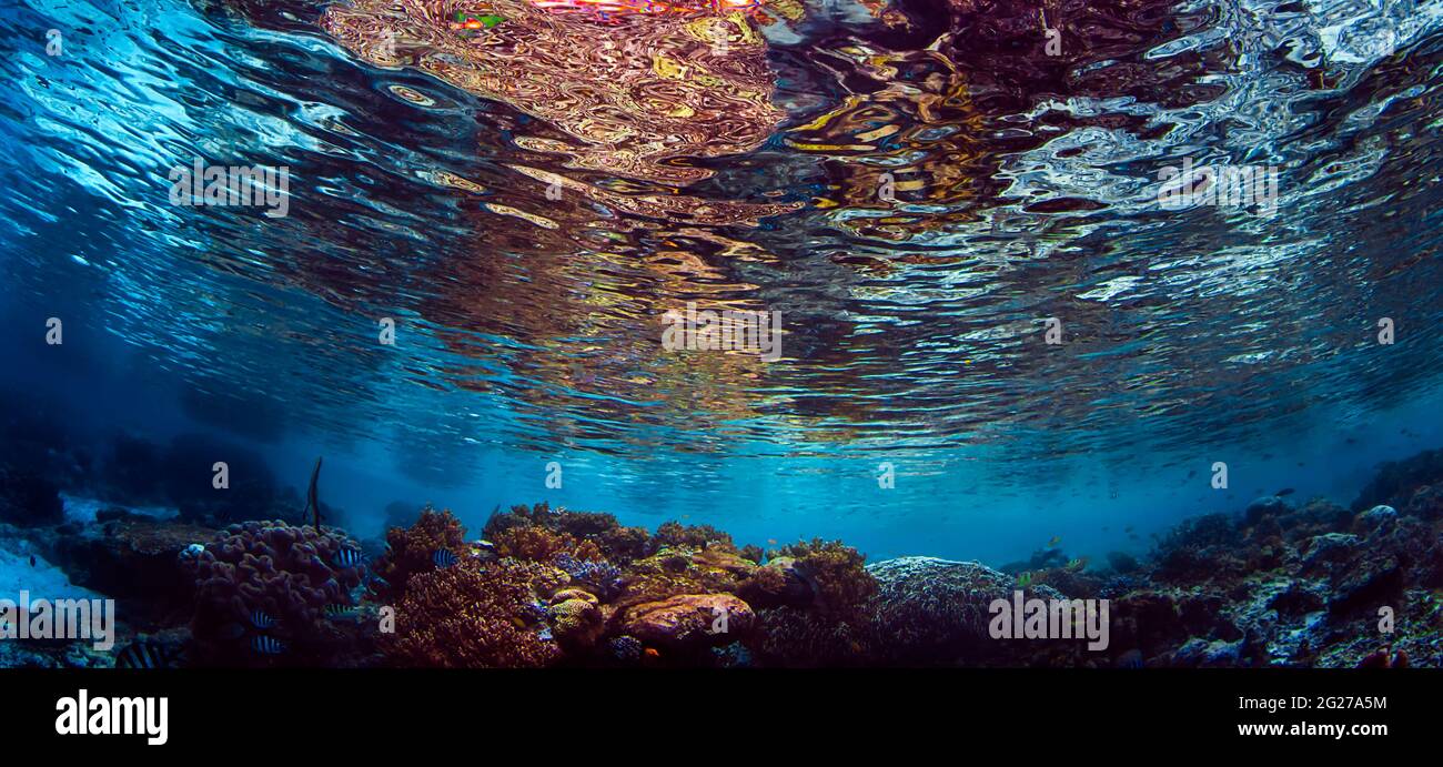 Serene shallow water reef scene with reflections in Raja Ampat, Indonesia. Stock Photo
