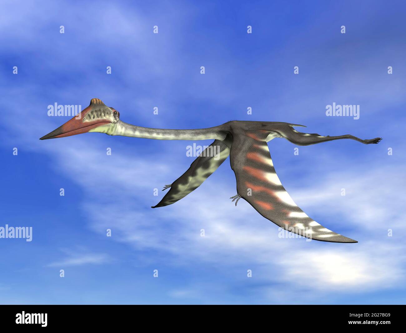 Pterosaur size comparison, illustration - Stock Image - C027/5871 - Science  Photo Library