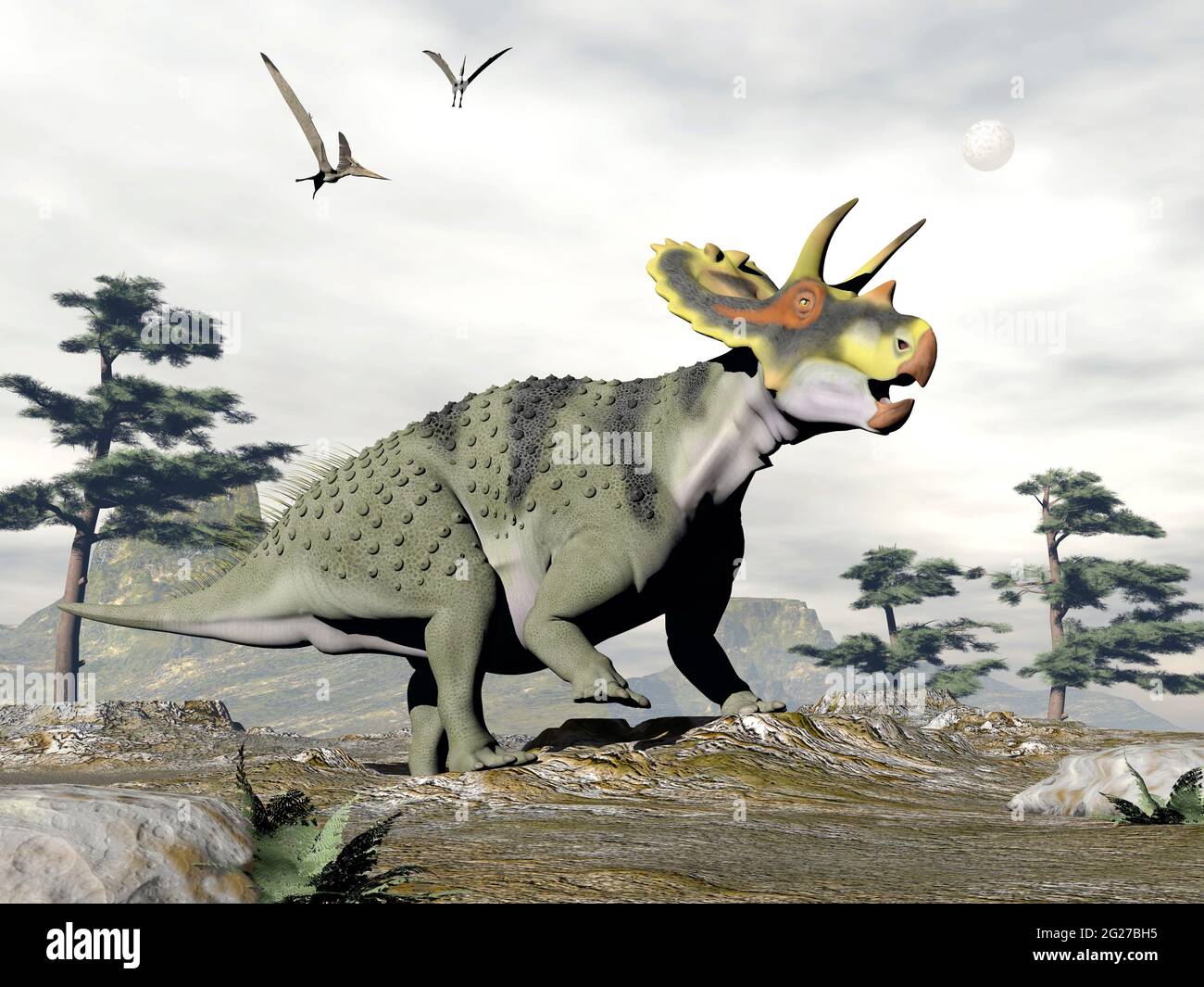 Anchiceratops dinosaur walking in the nature. Stock Photo