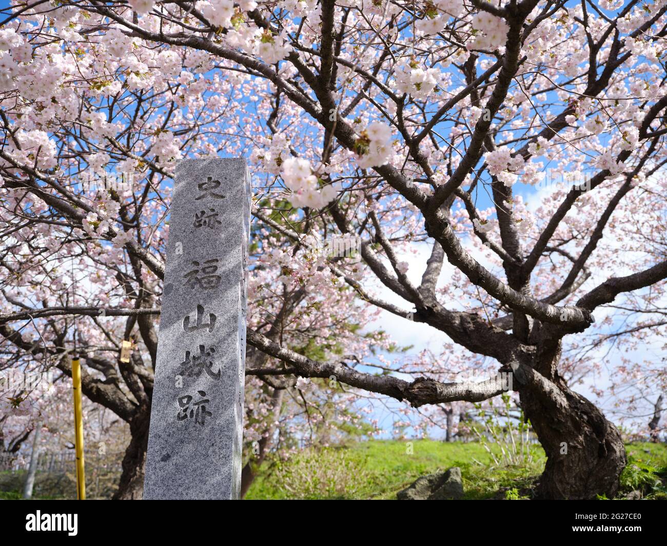 Cherry Blossoms in Matsumae Town, Hokkaido, Japan Stock Photo Alamy