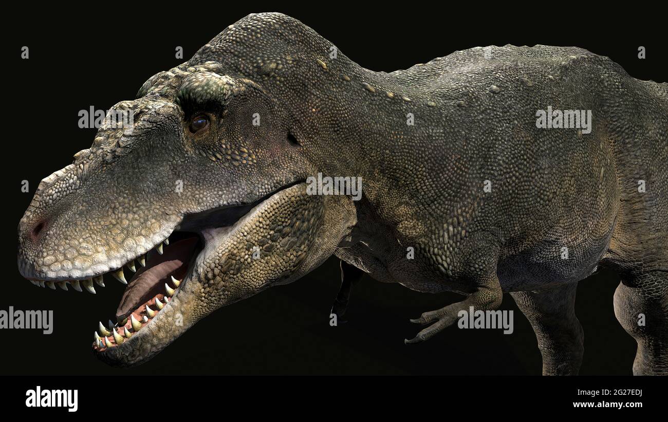 Tarbosaurus dinosaur. Stock Photo