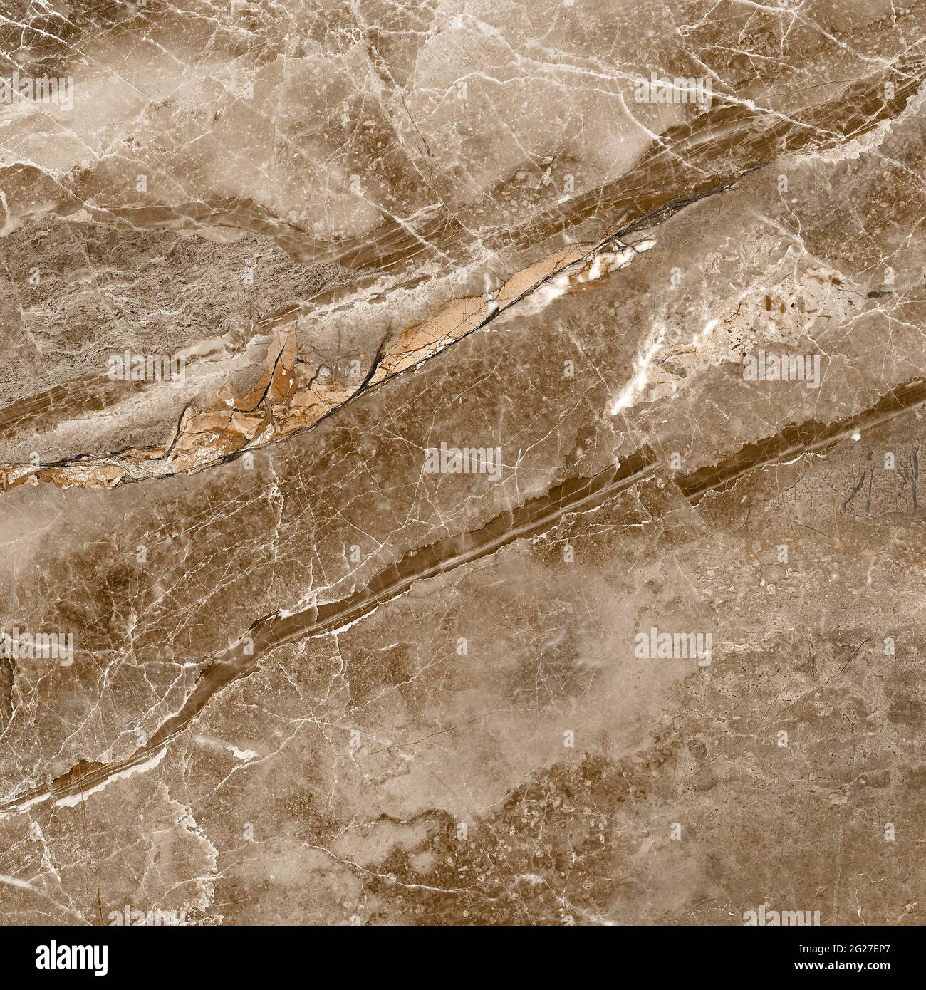 brown Marble polished finish design with natural veins Stock Photo