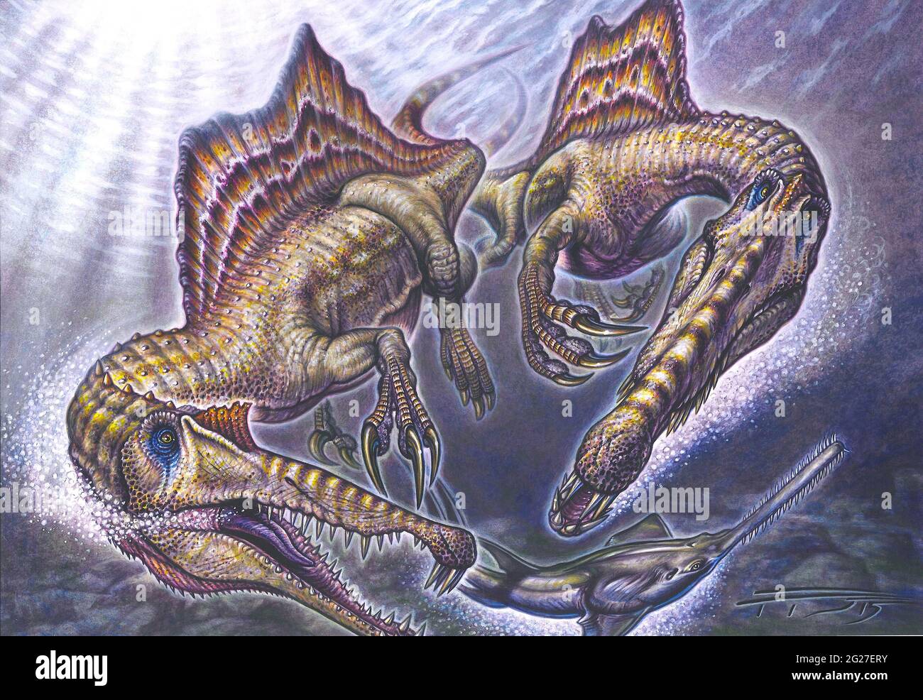 A pair of Spinosaurus aegyptiacus prey on an Onchopristis passing by. Stock Photo