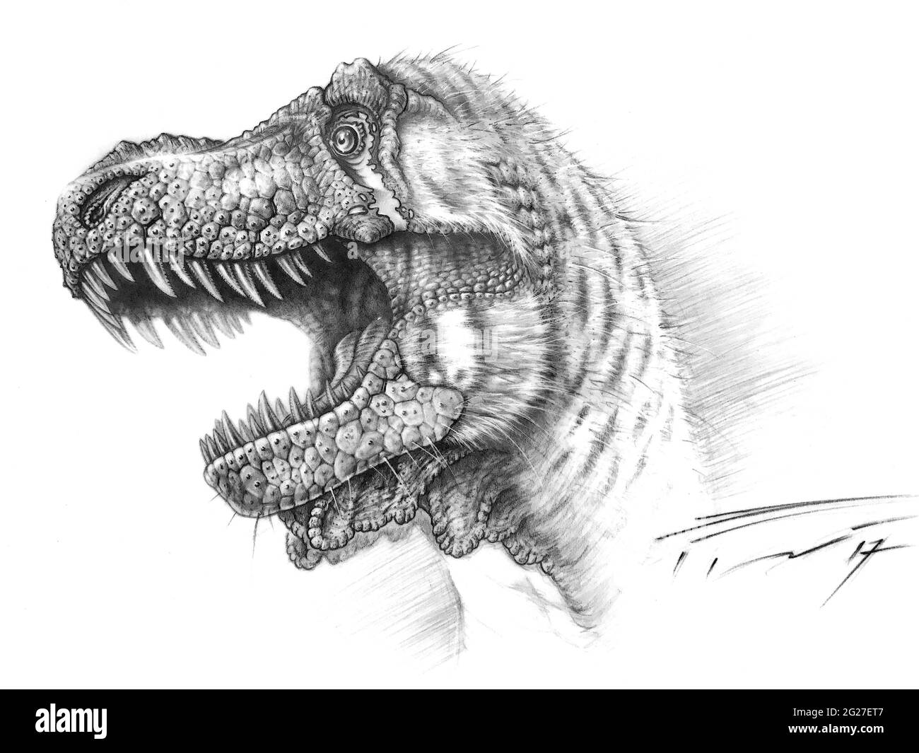 How to Draw a Tyrannosaurus Rex  Step By Step  YouTube