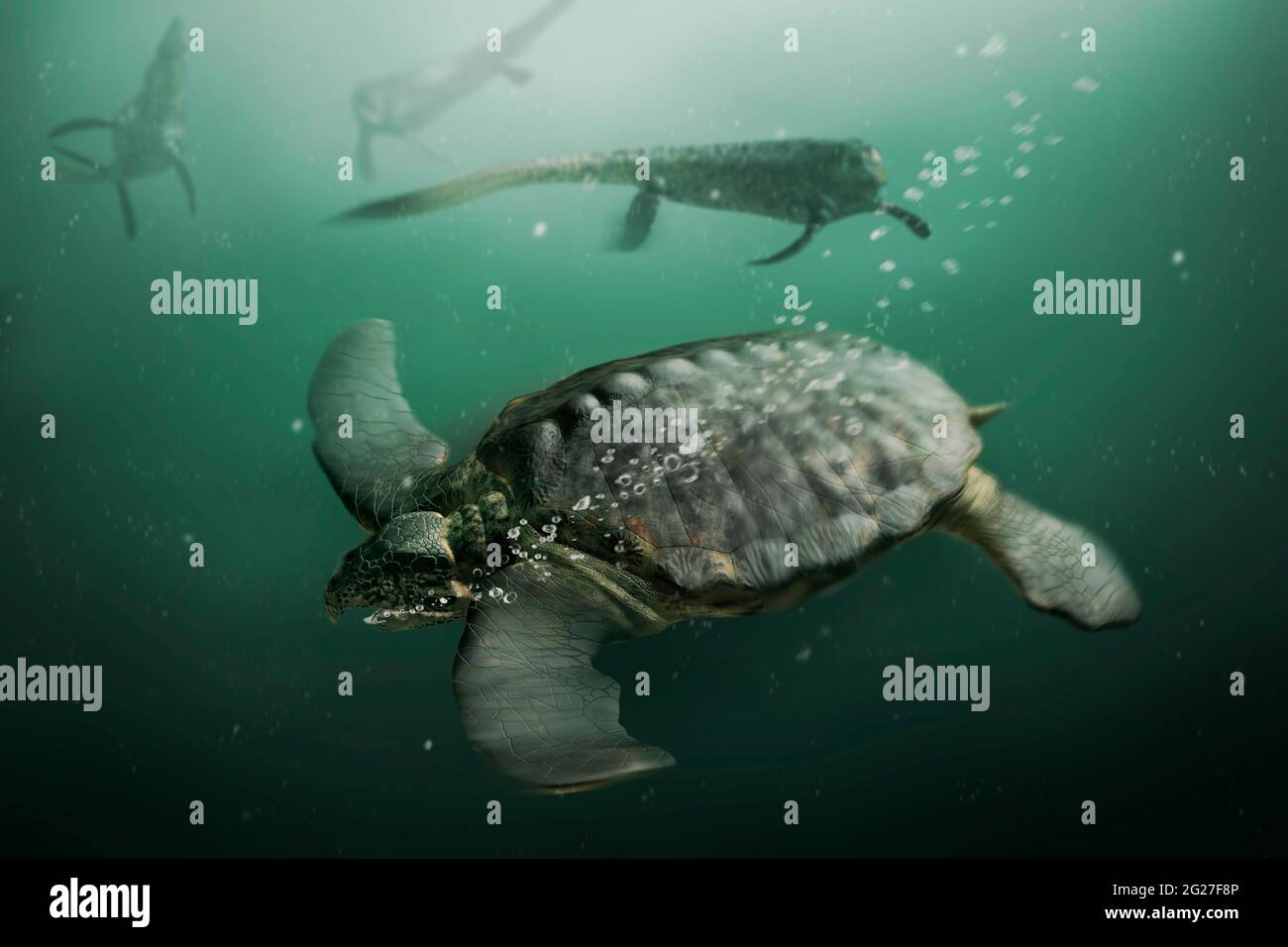 The Archelon High Resolution Stock Photography And Images Alamy
