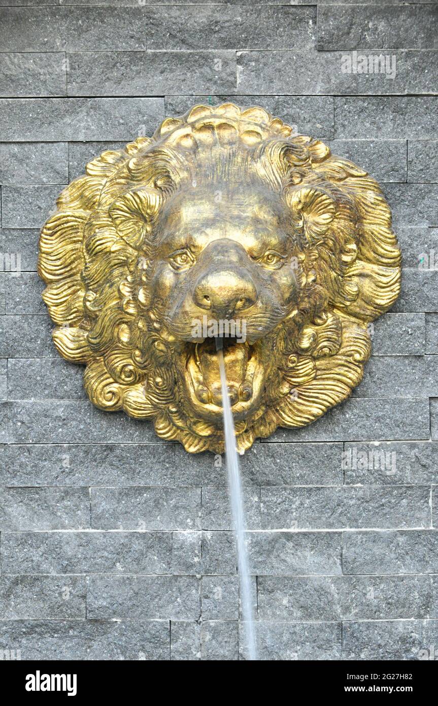 Golden lion head sculpture on stone wall spouting water Stock Photo